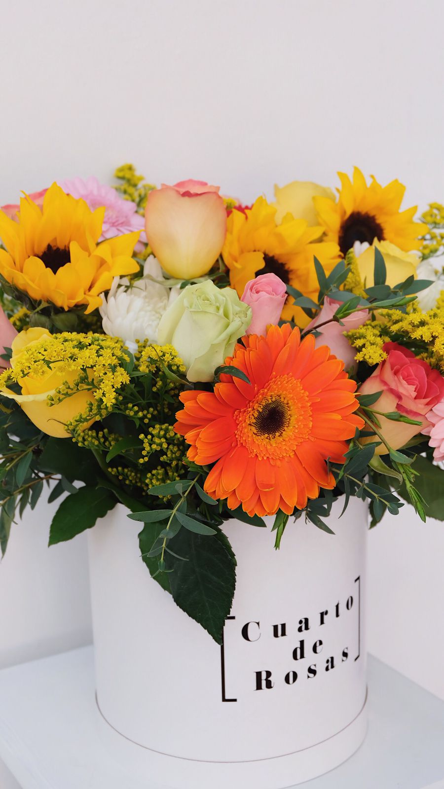 Cilindro Alegre Corto