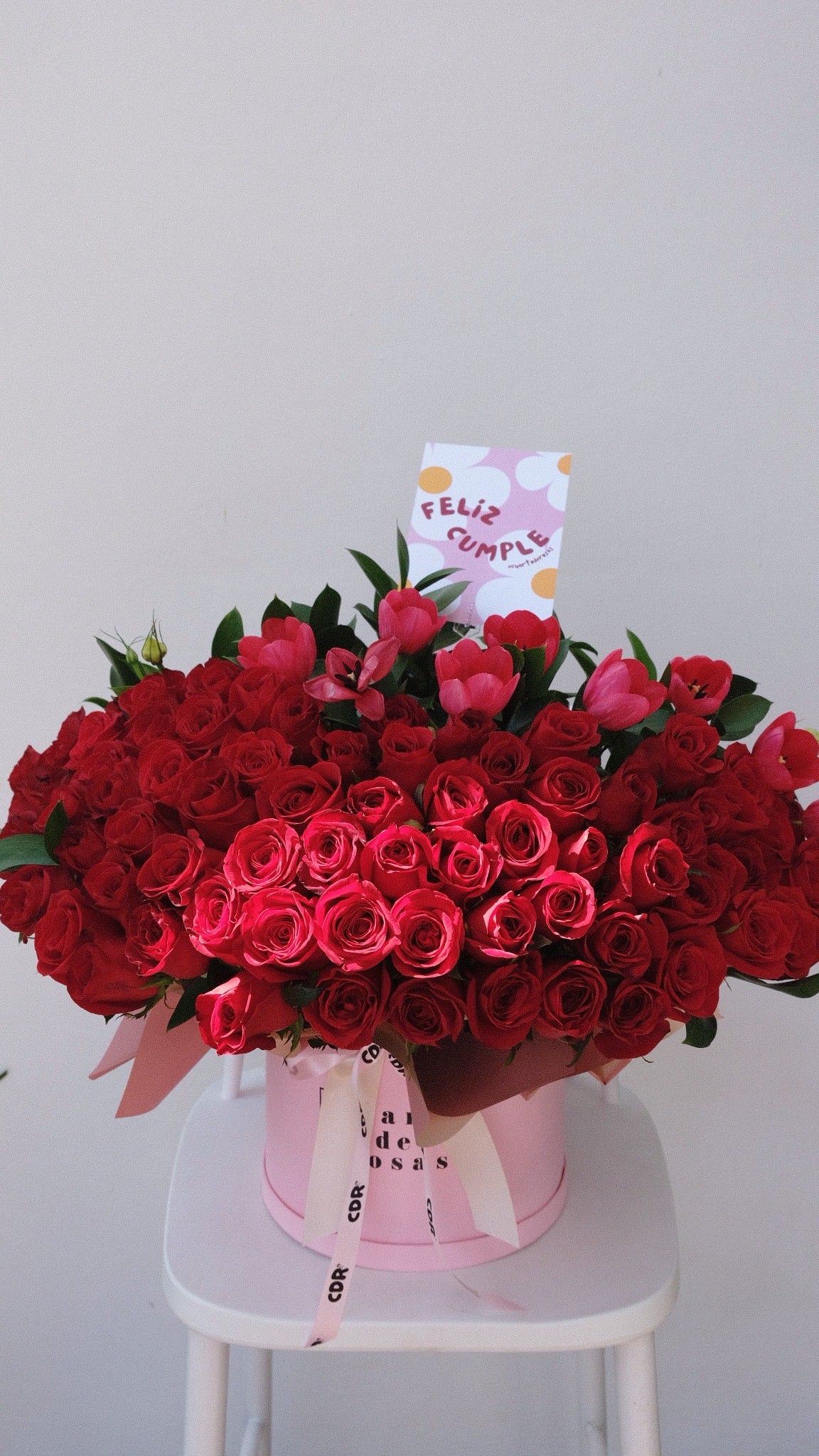 Cilindro Deluxe + Tulipanes