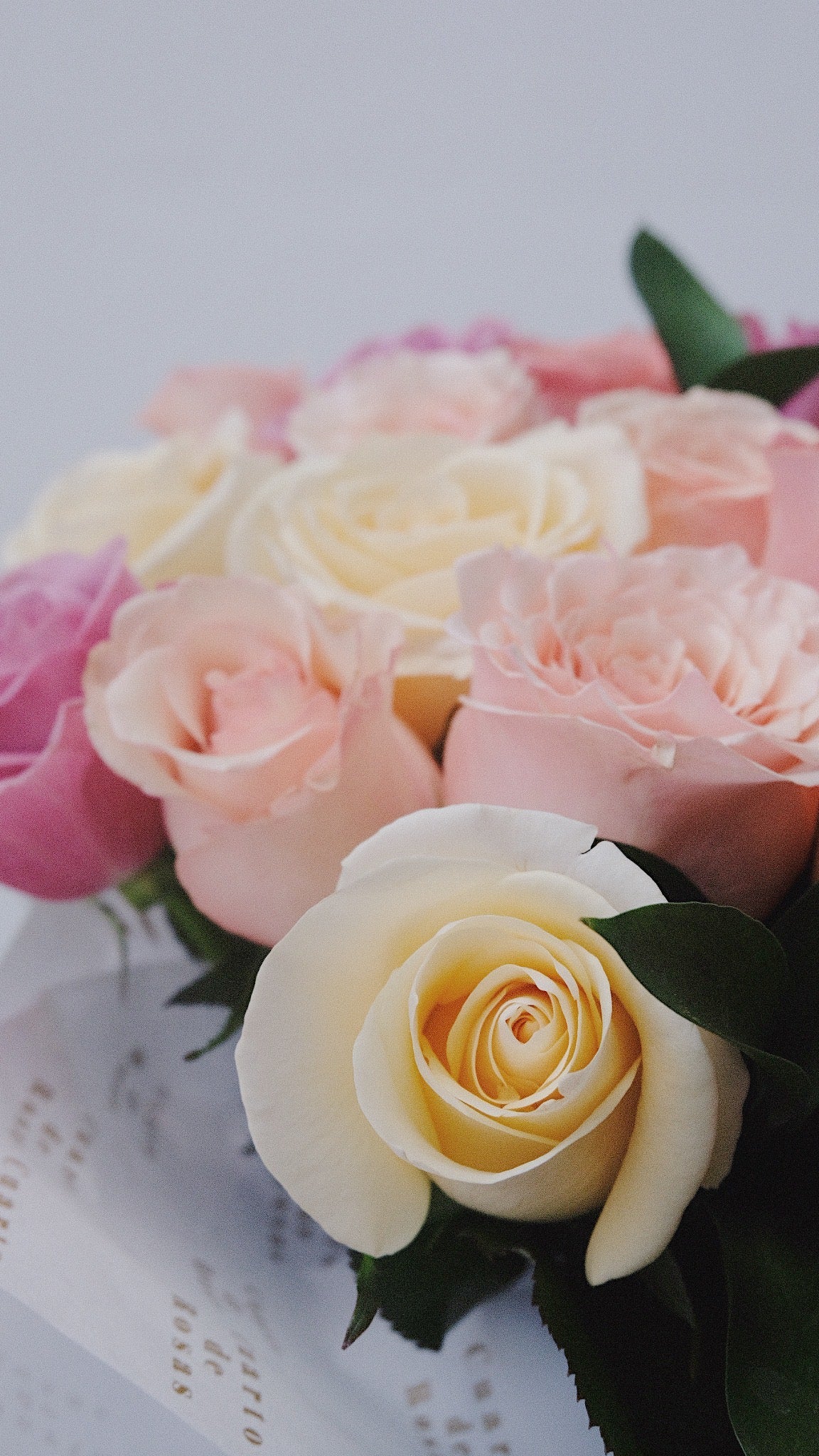 Cilindro Rosas Clásico