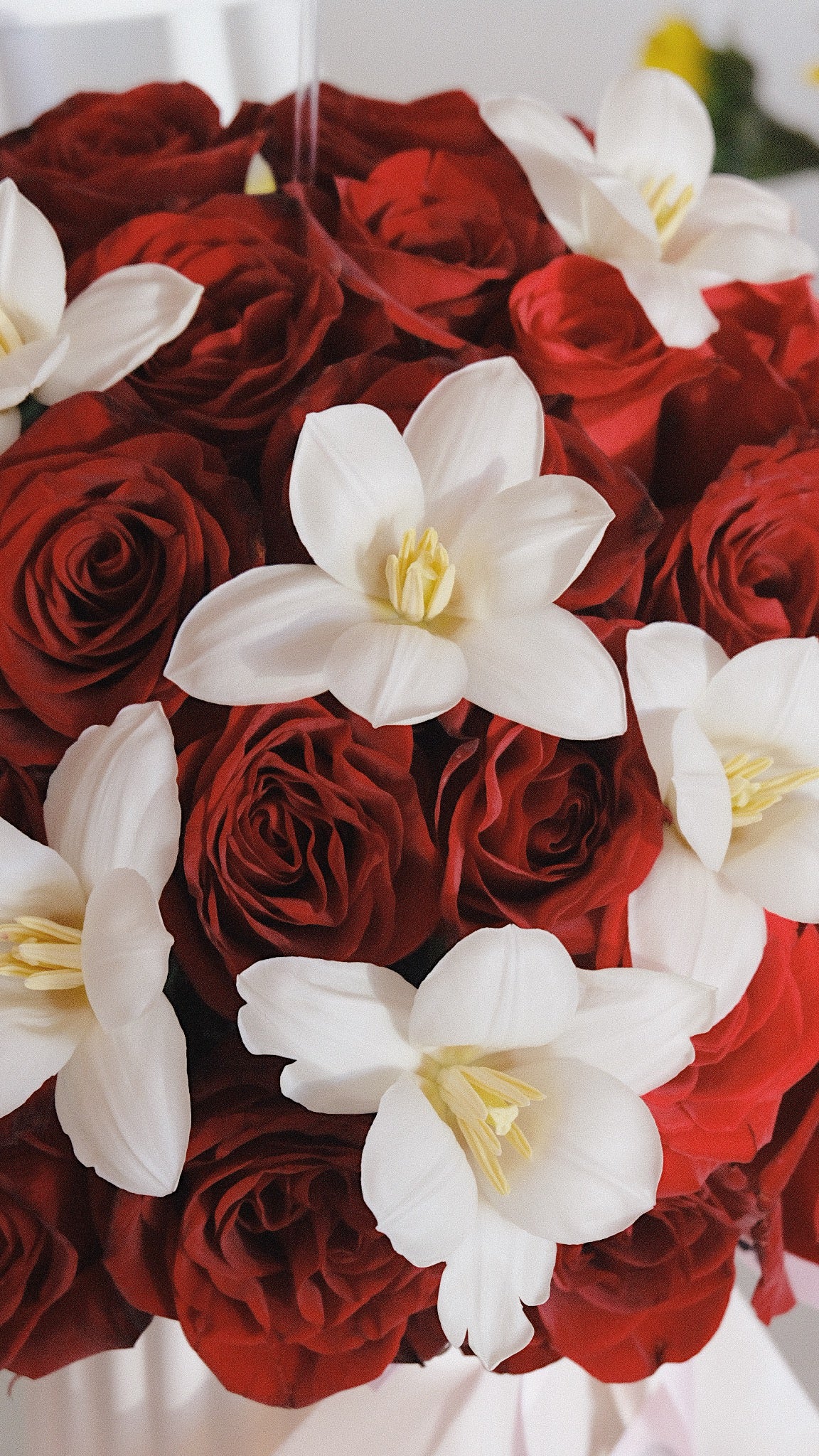 Petite rosas + 10 tulipanes