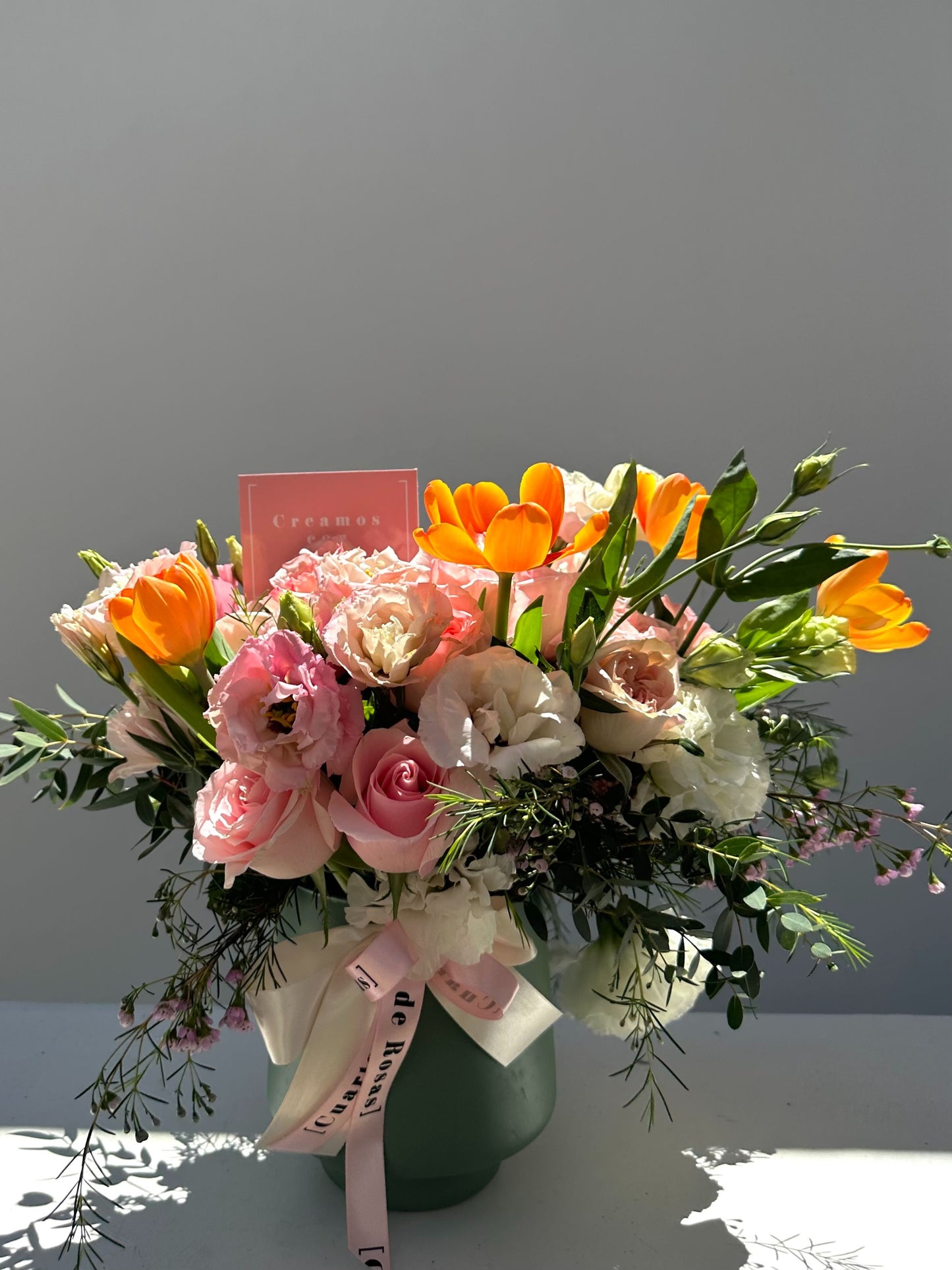 Base tulipanes