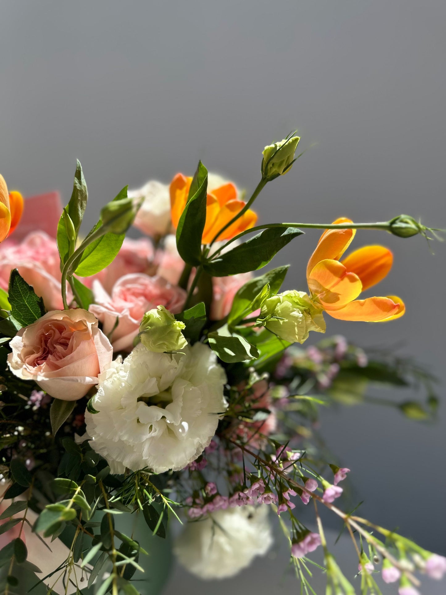 Base tulipanes
