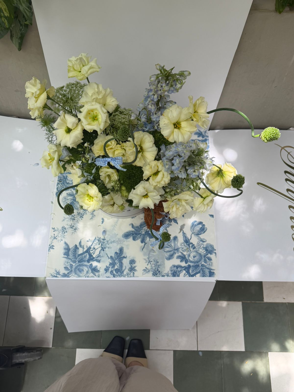 Gender Reveal Box