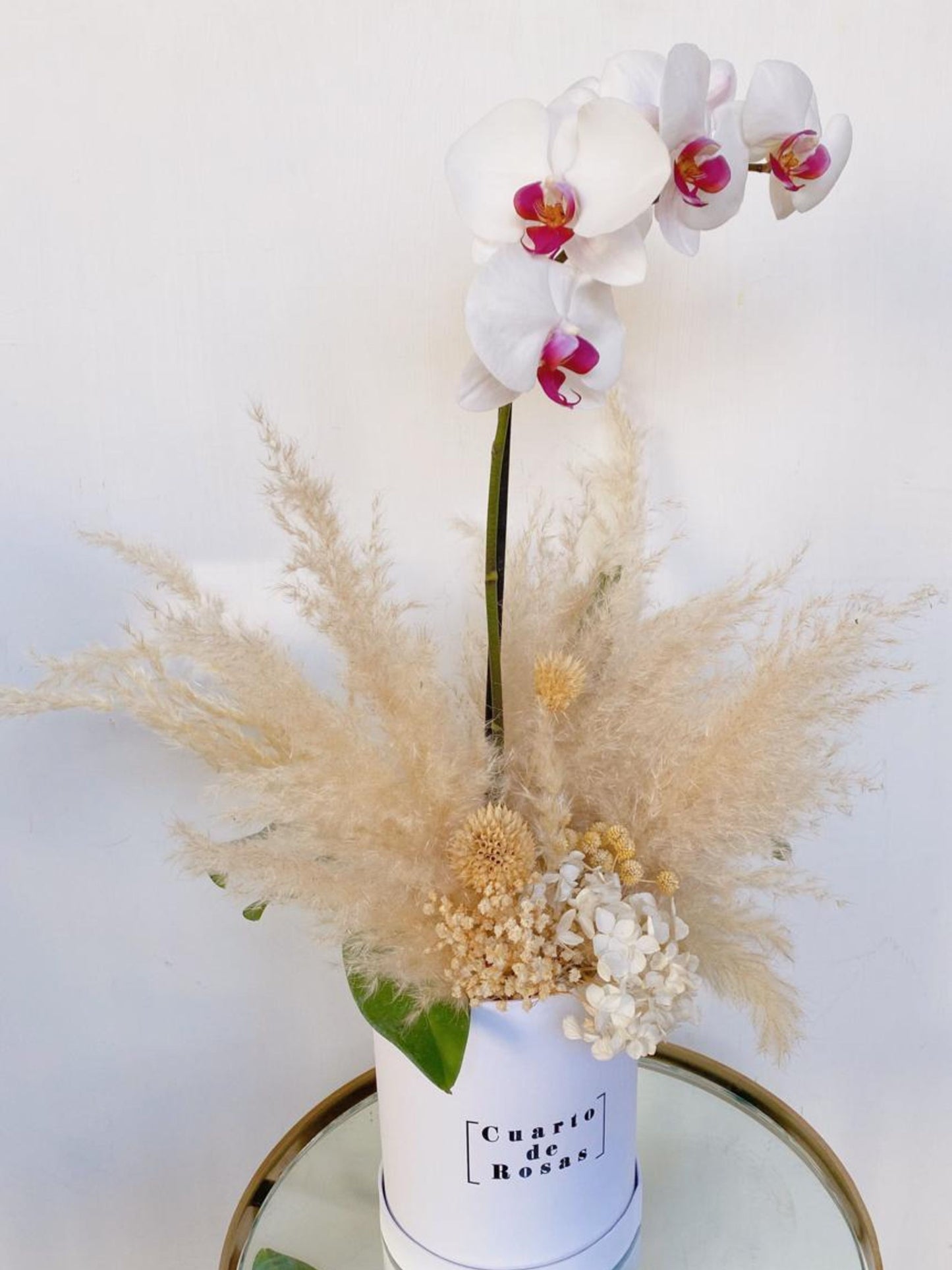 Petite Orquidea + Pampas