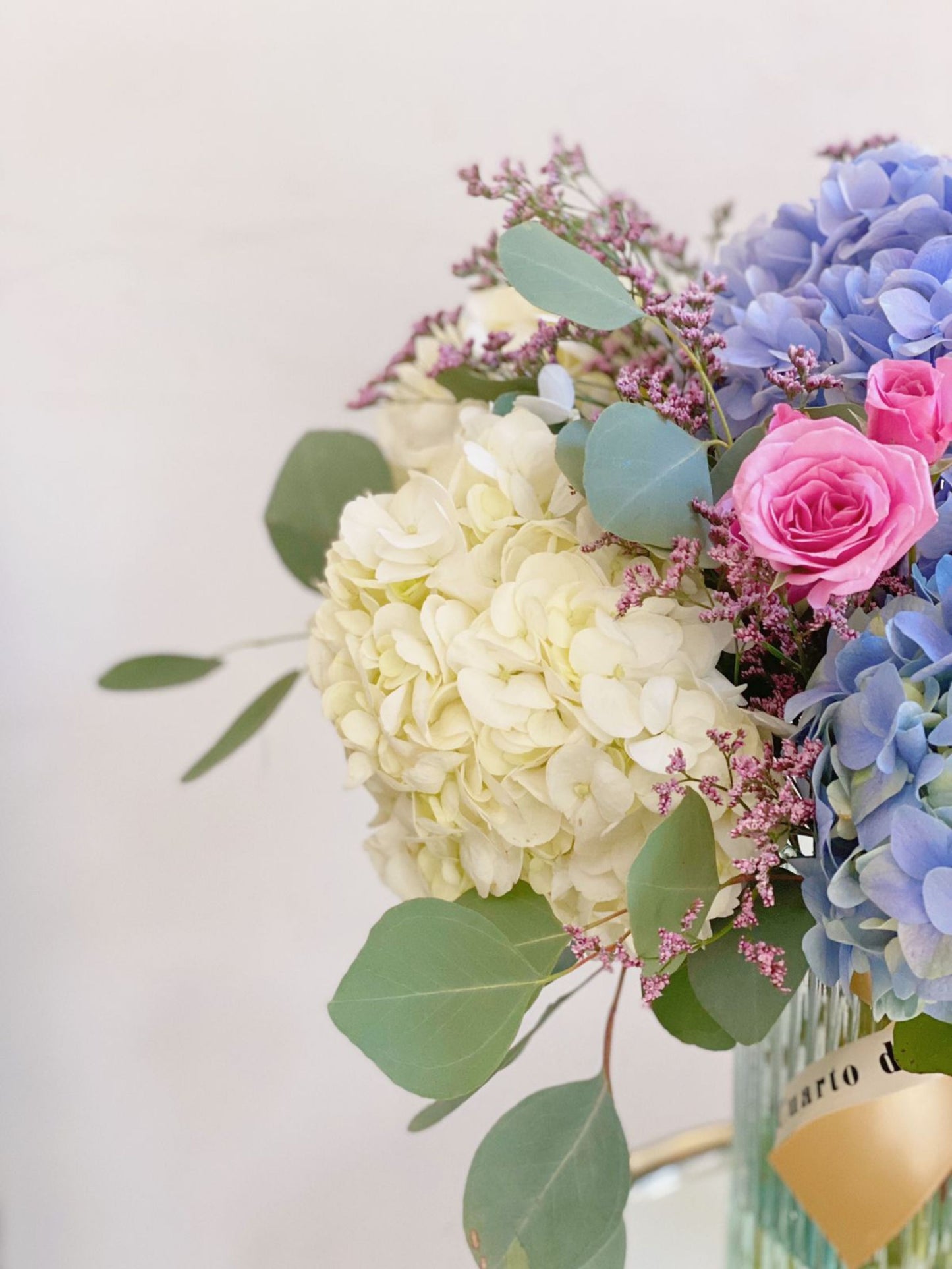 Base Hortensias