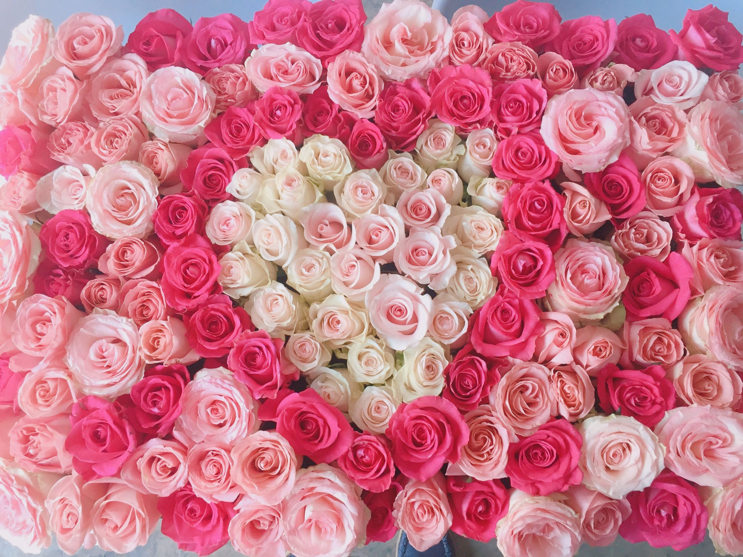 Caja cuadrada 100 Rosas