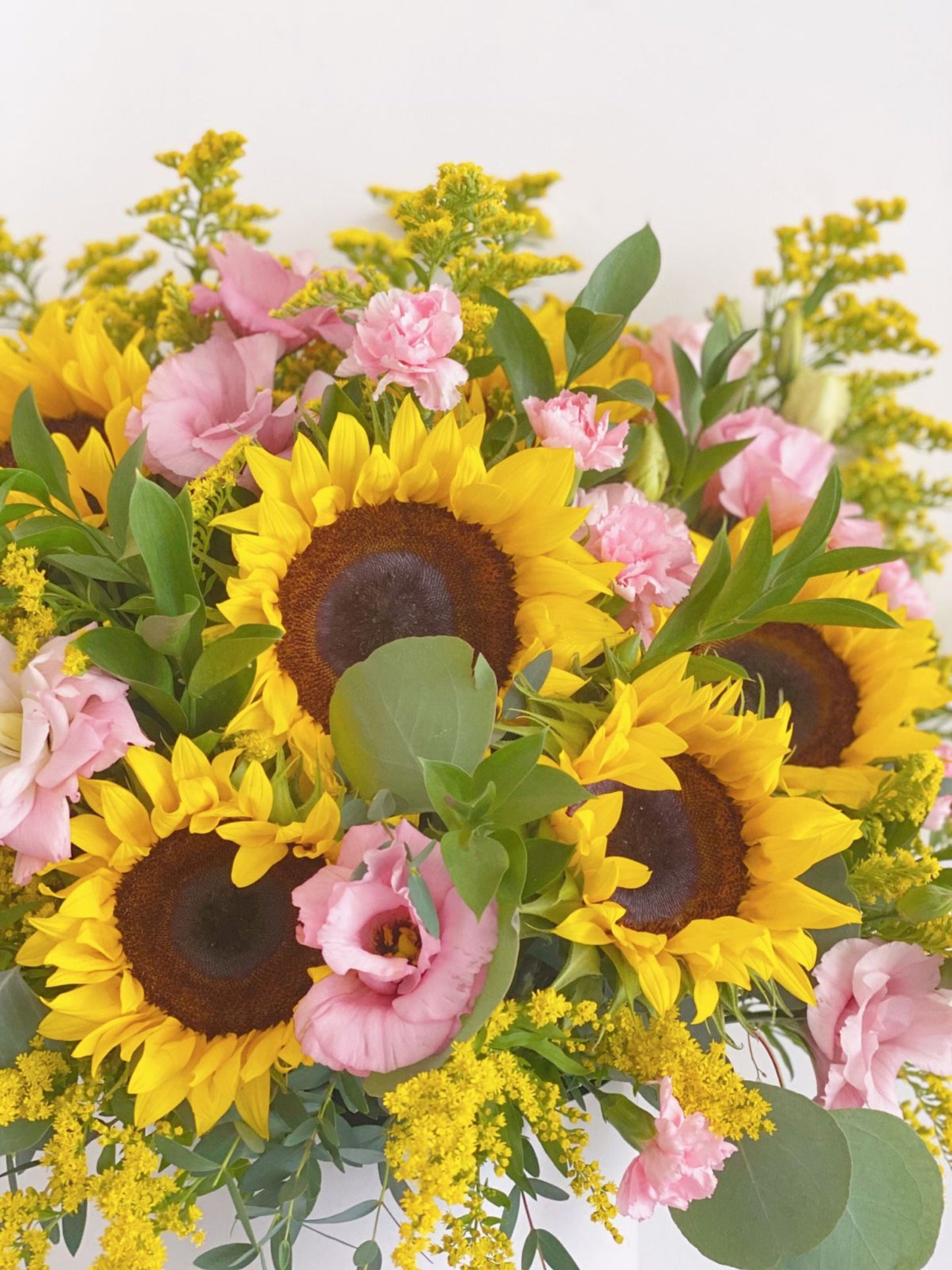 Cilindro Girasoles Clásico