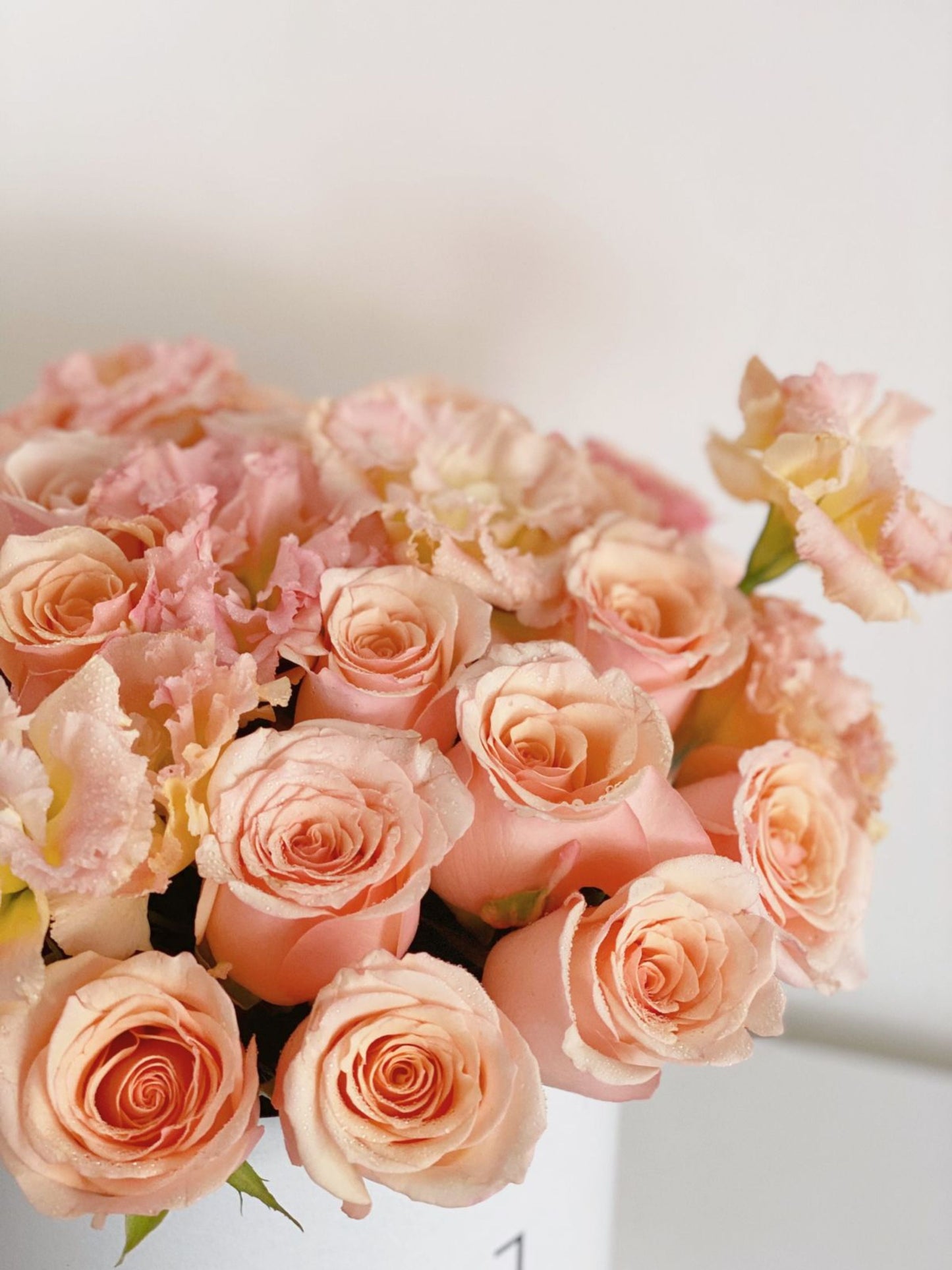 Cilindro Corto 25 rosas