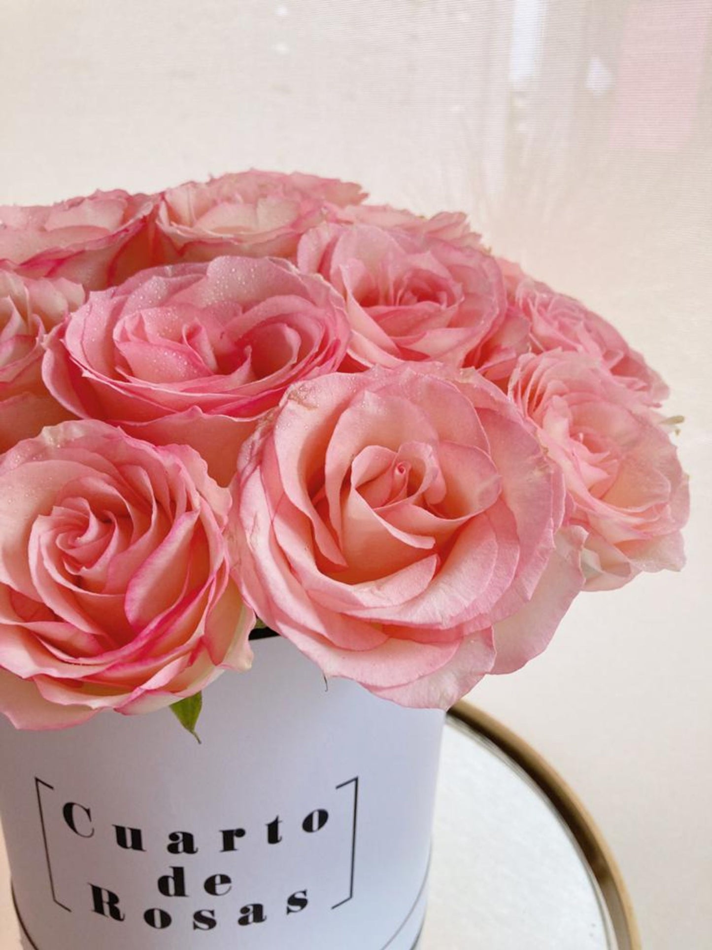 Cilindro Corto 25 rosas
