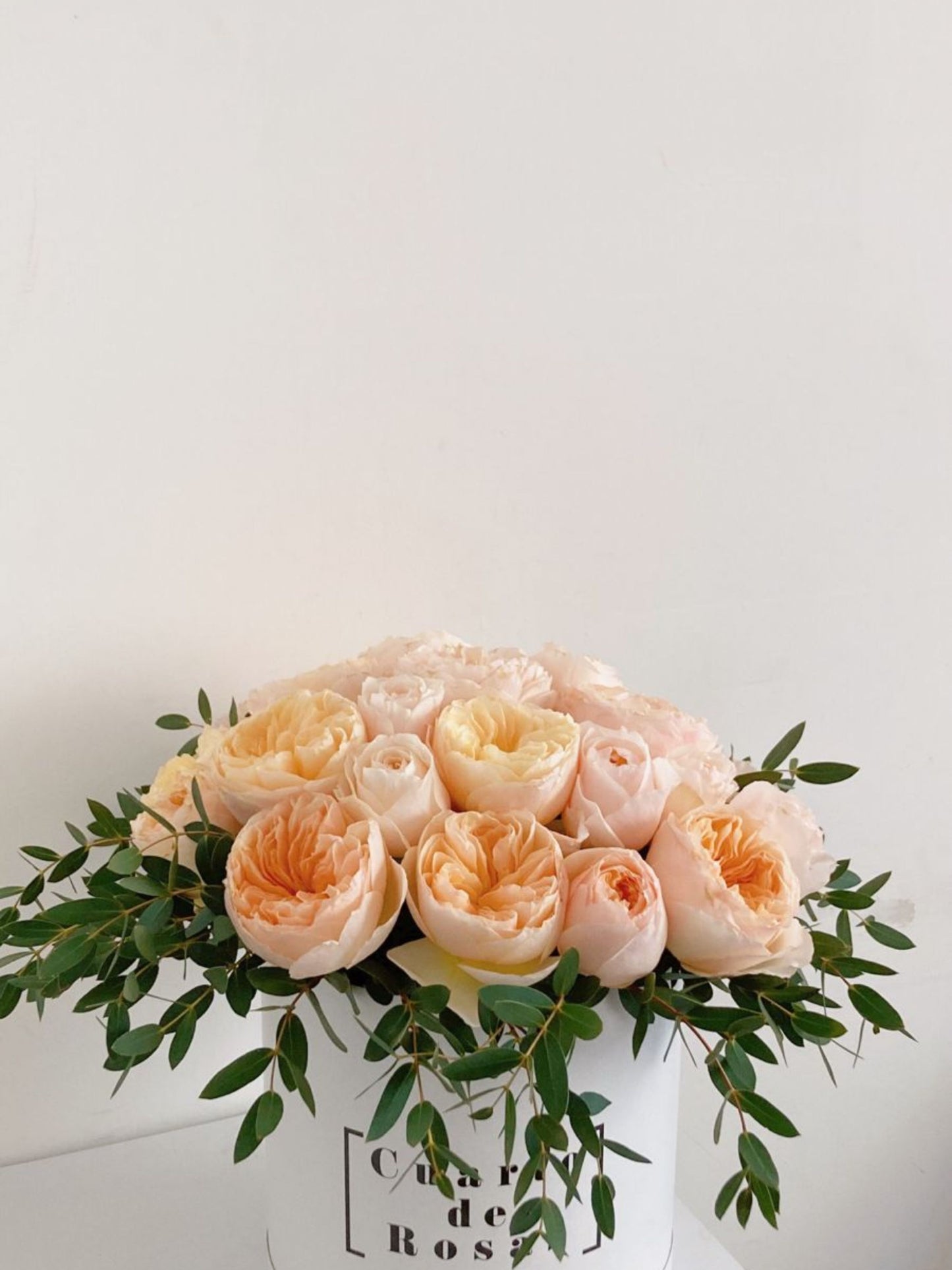 Cilindro Corto 25 rosas Inglesas