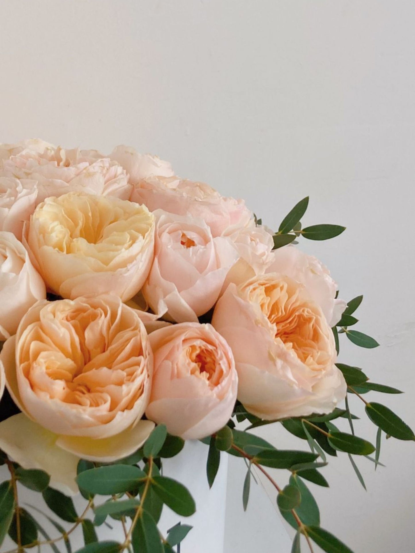 Cilindro Corto 25 rosas Inglesas