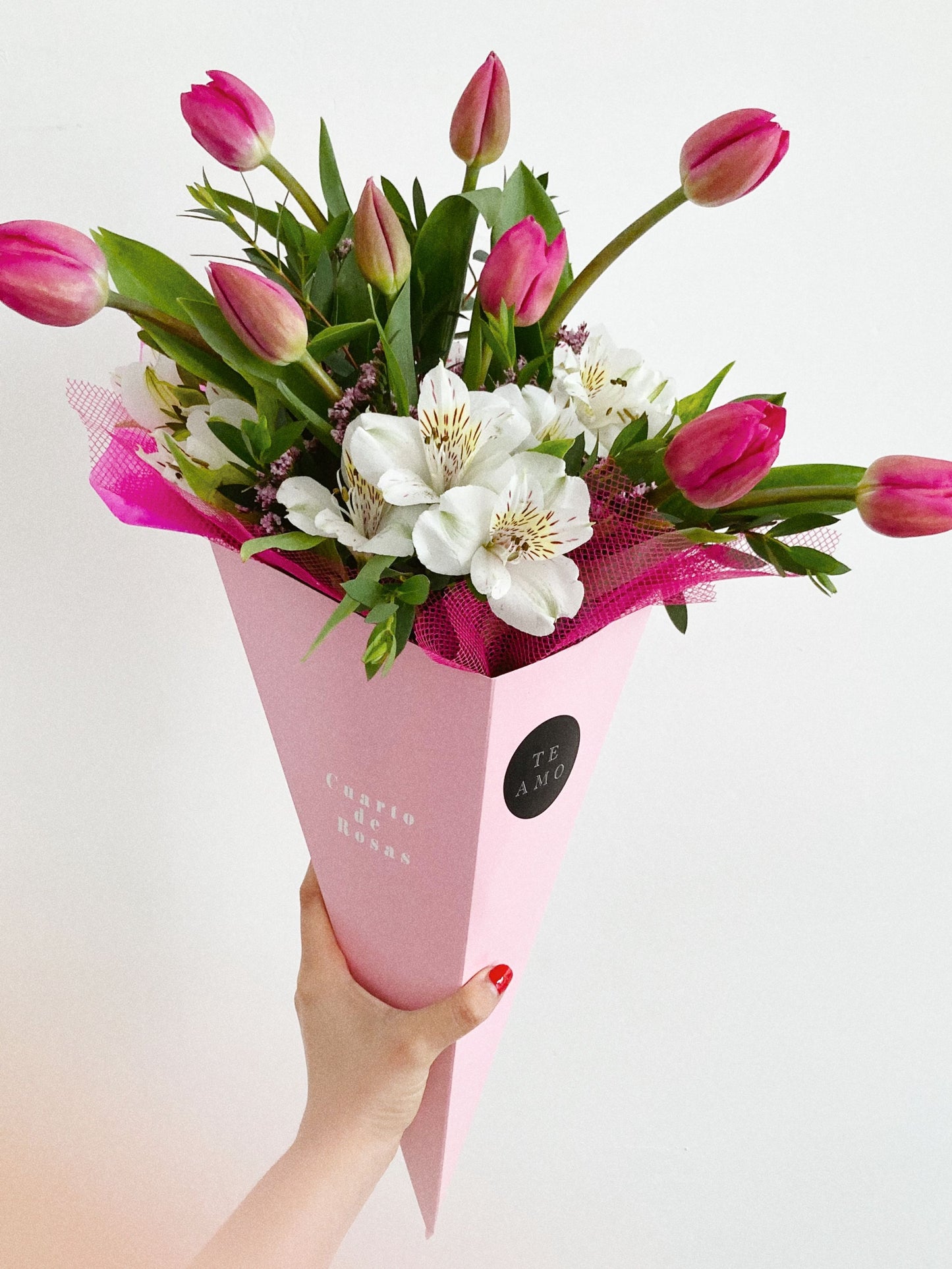 Cono de Tulipanes