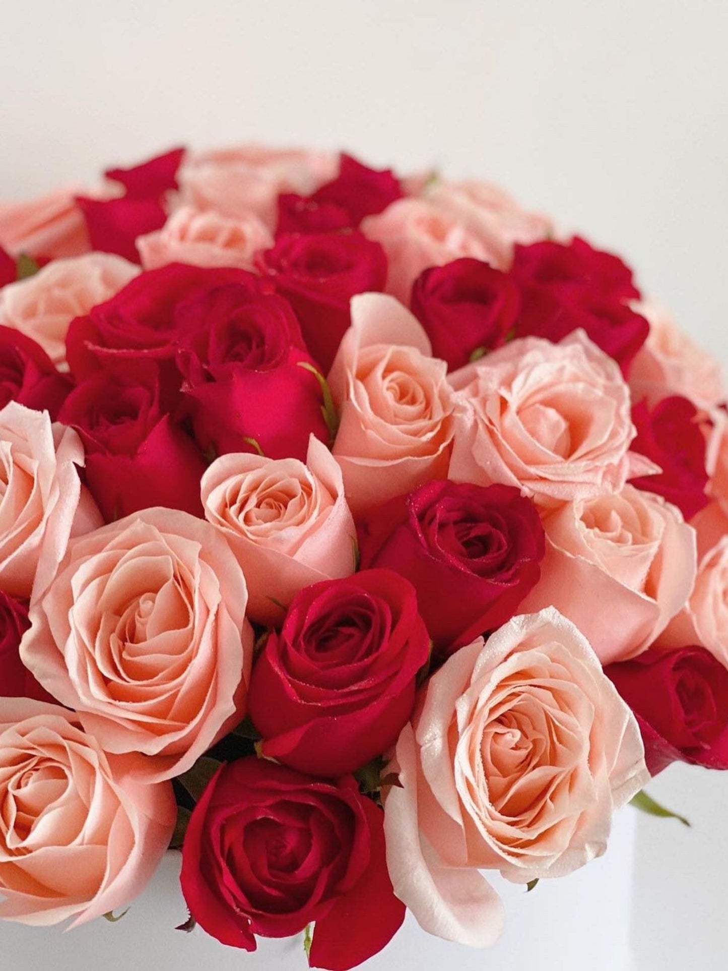 Cilindro Rosas Deluxe