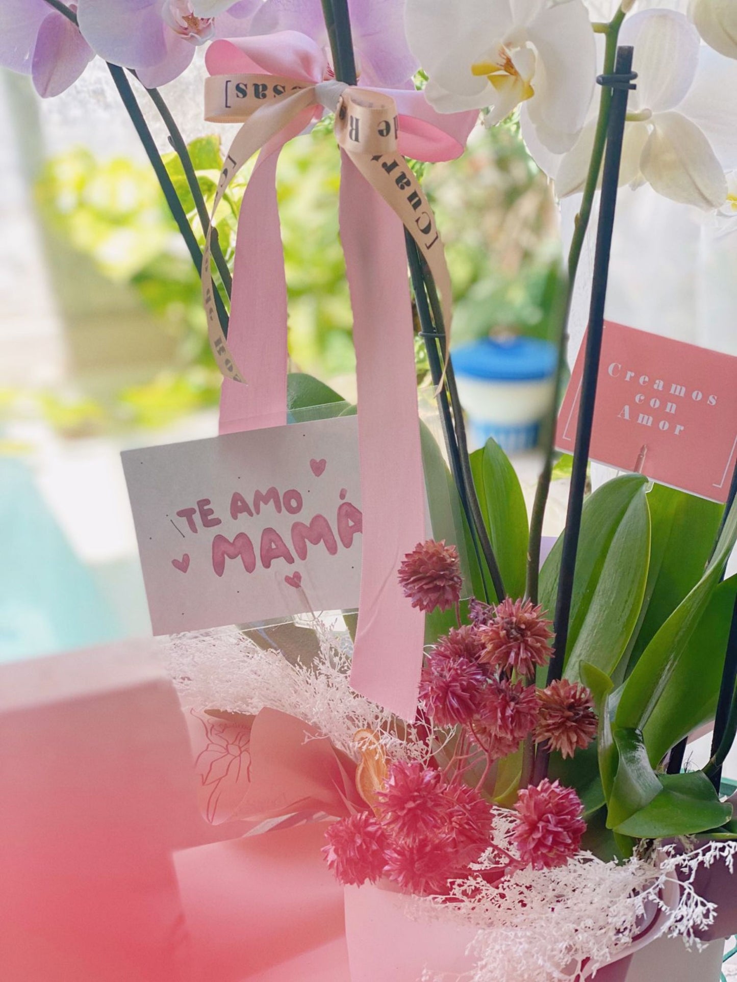 Jardín de Orquídeas