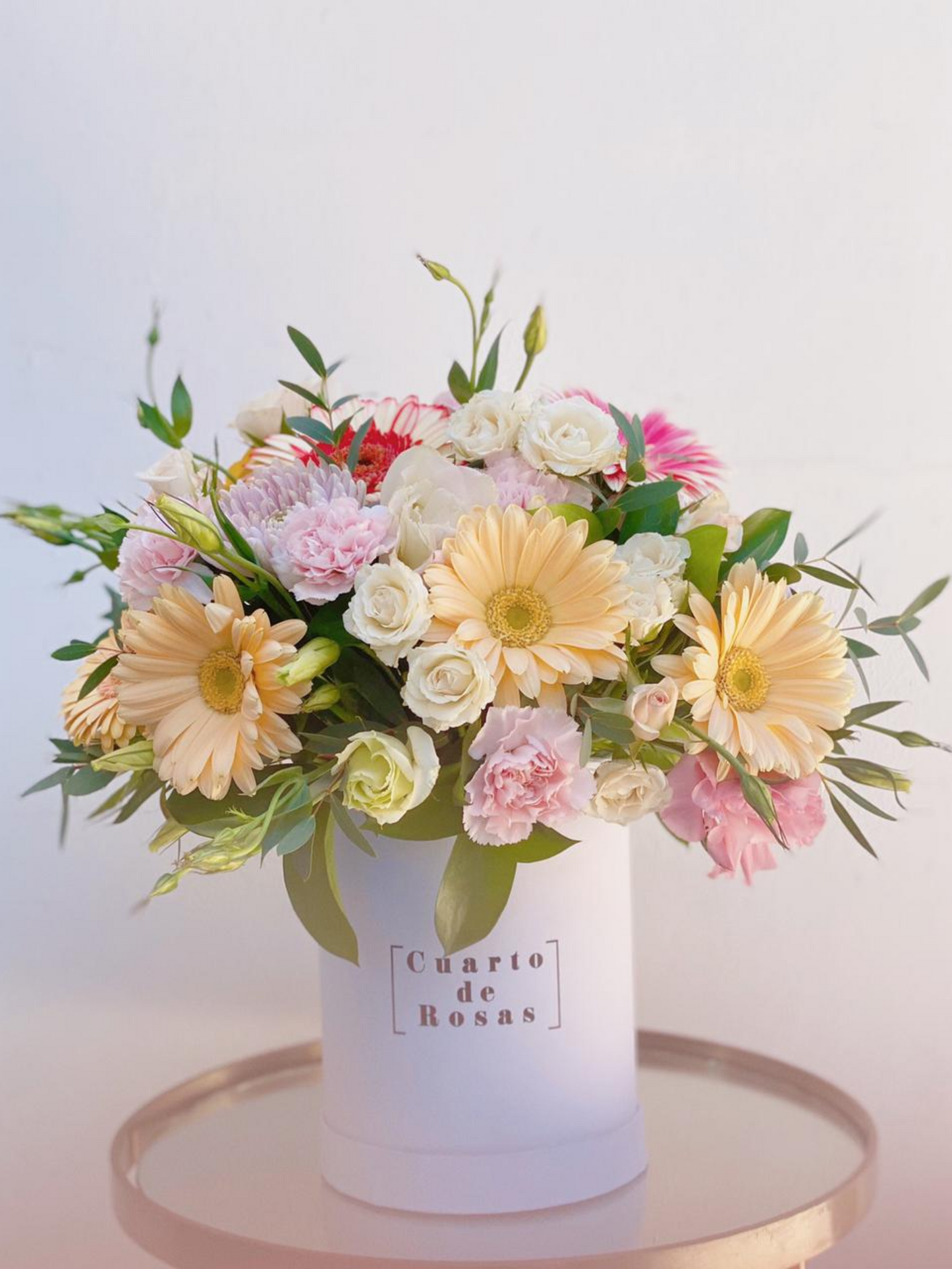 Petite Gerberas
