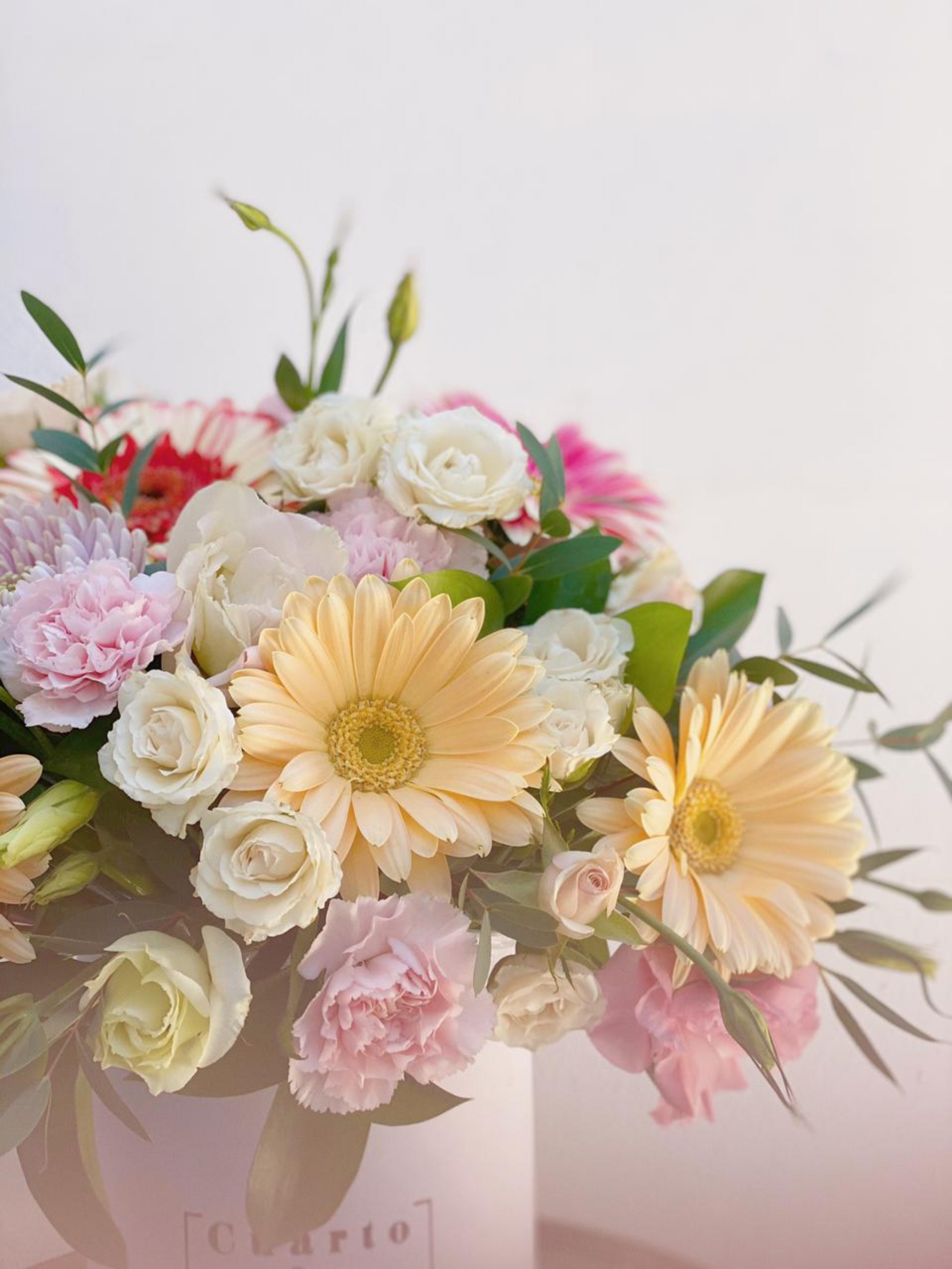 Petite Gerberas