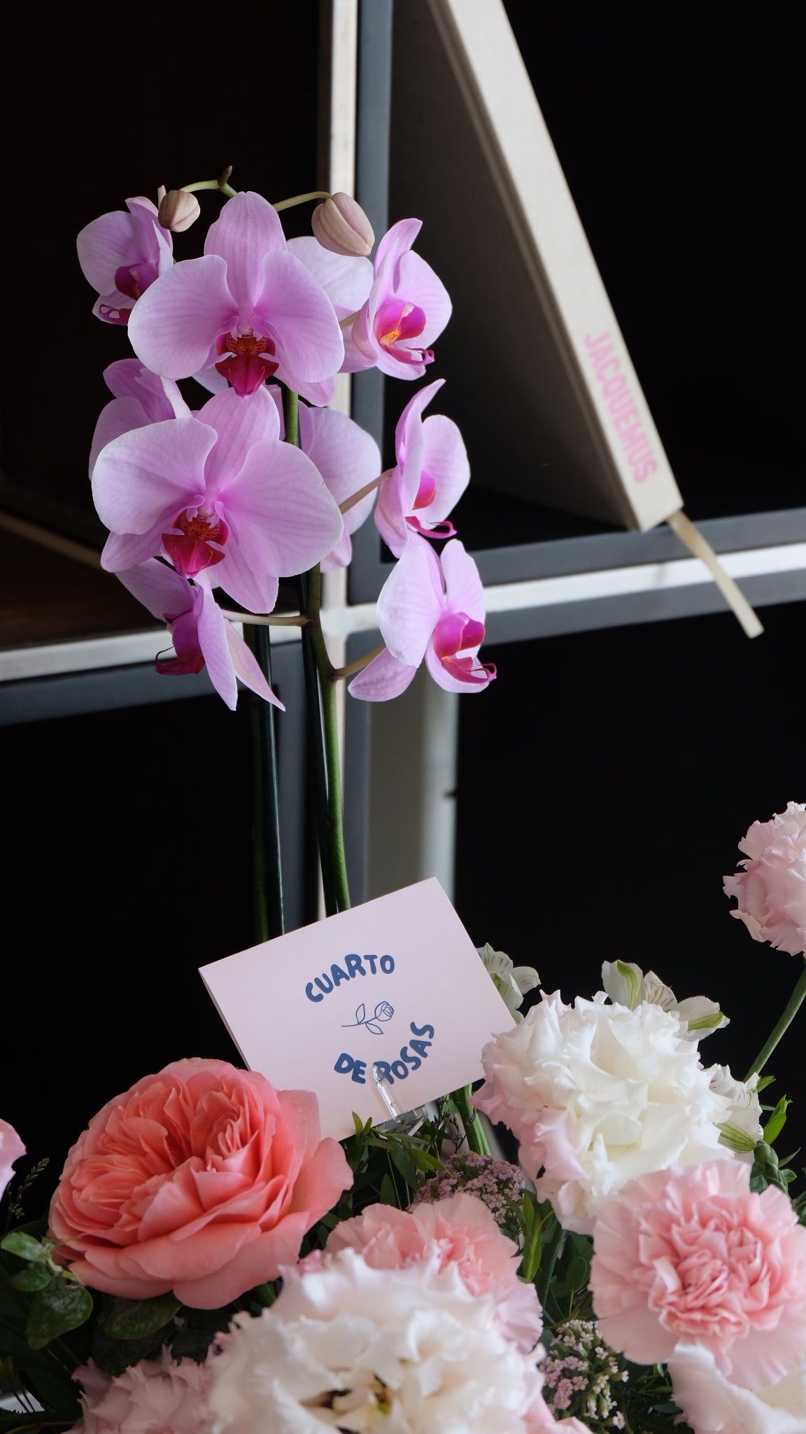 Base jardin de Orquideas