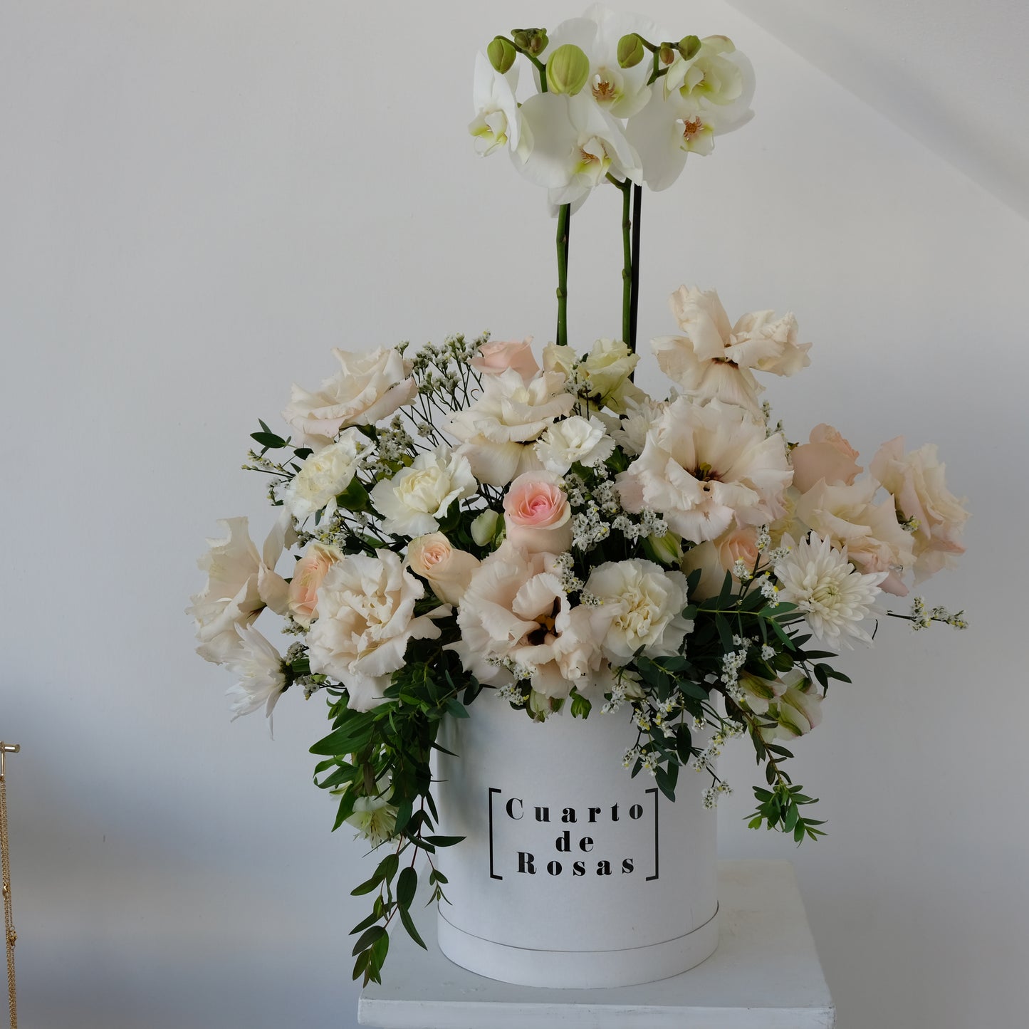 Base jardin de Orquideas