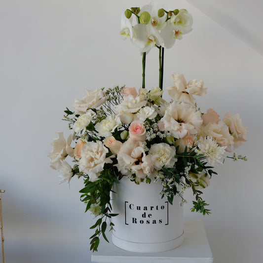 Base jardin de Orquideas