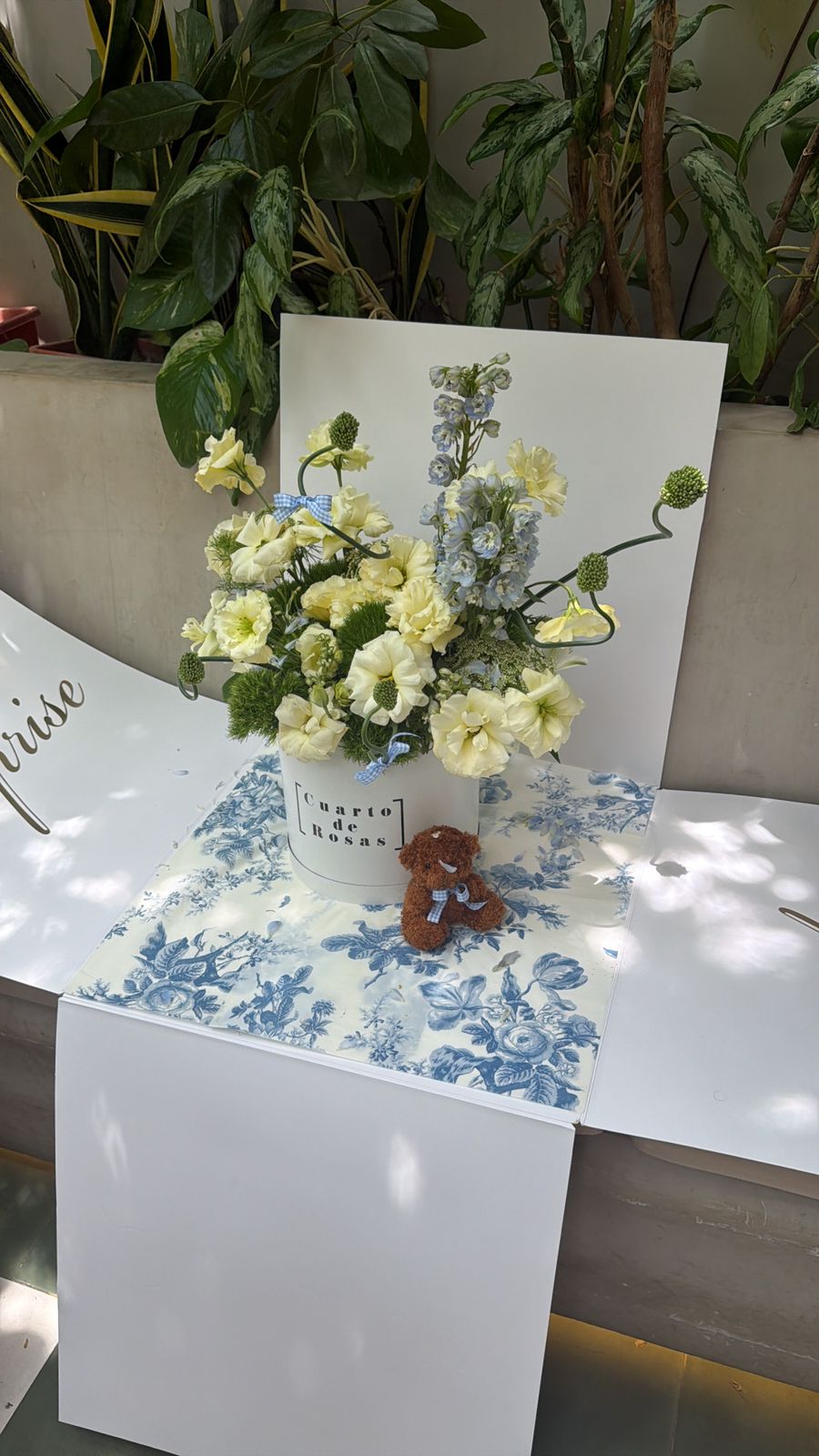Gender Reveal Box