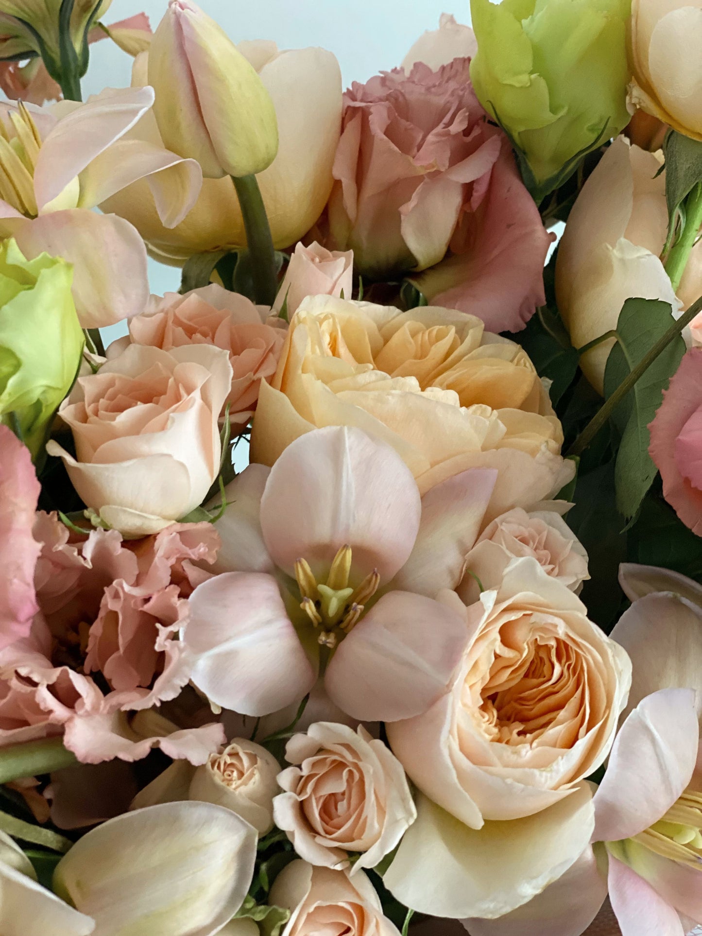 Corazón acrílico de rosas inglesas y tulipanes